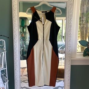 Never worn curve complimenting dress!